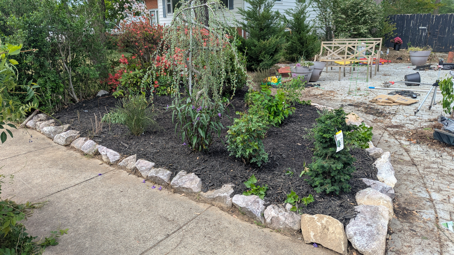 Mulched garden bed with stone border and weeping tree