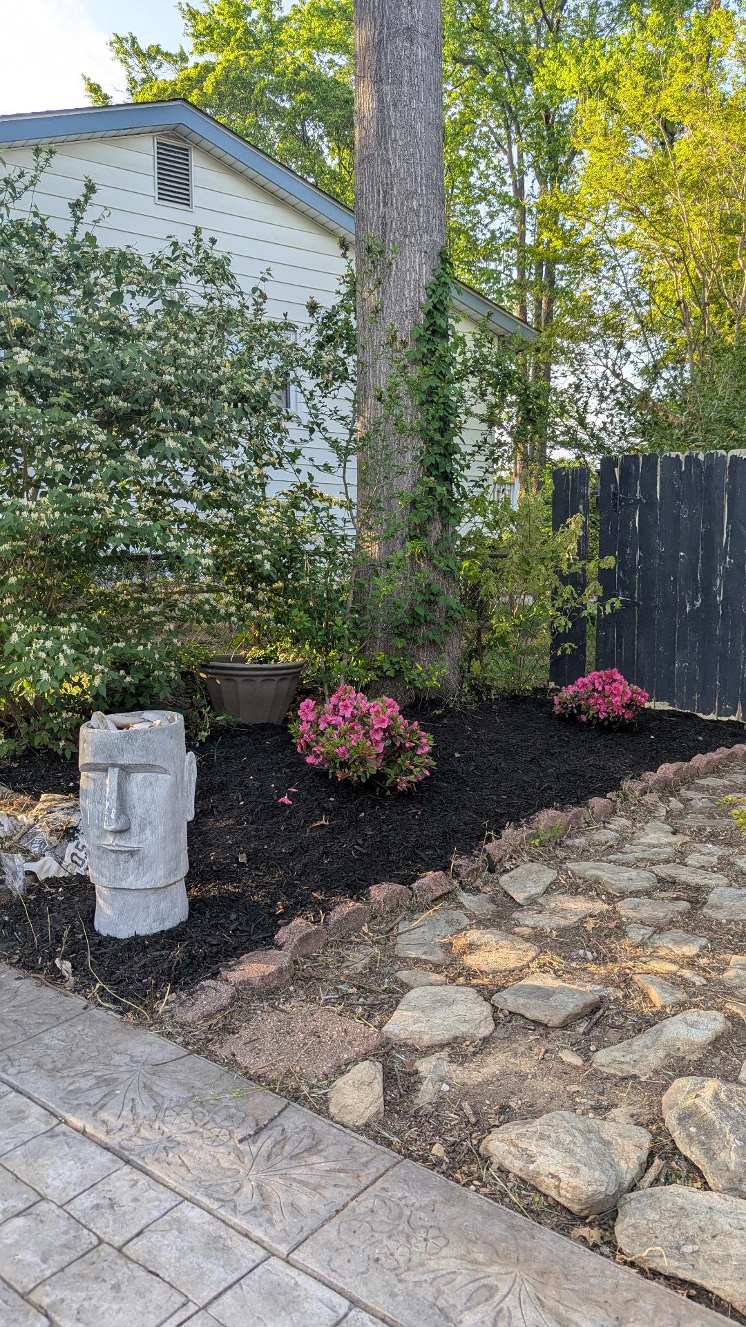 Fresh mulch bed with azaleas and decorative planter